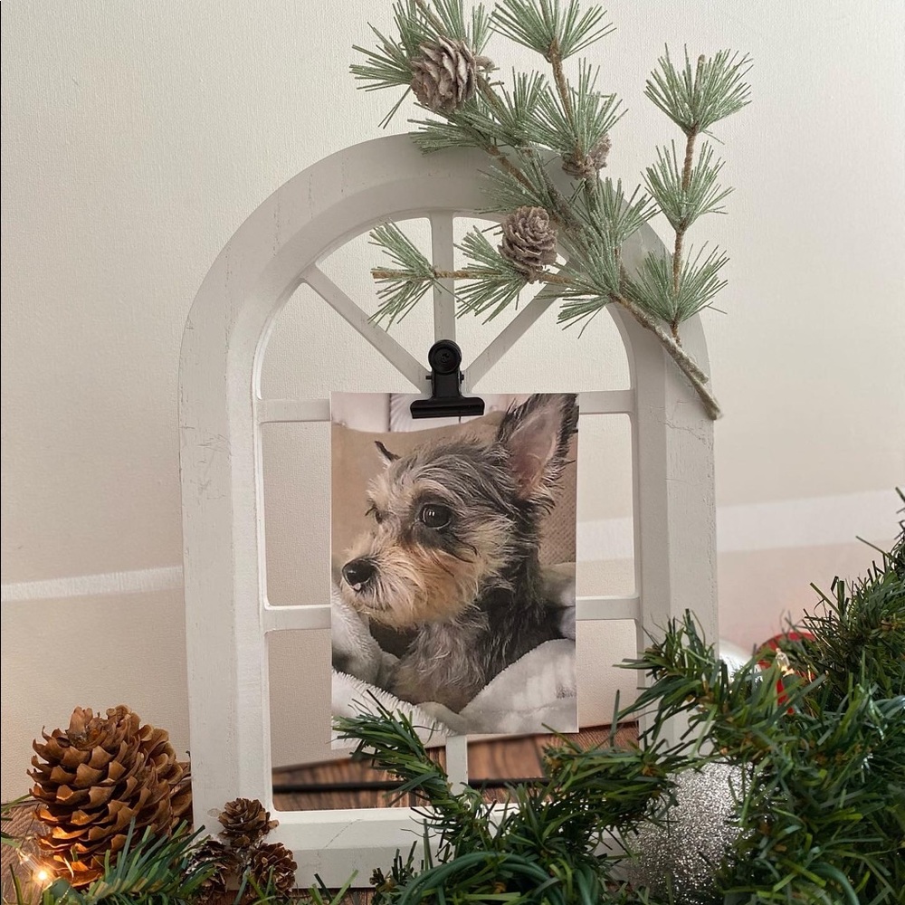 Rustic window pane picture frame holiday